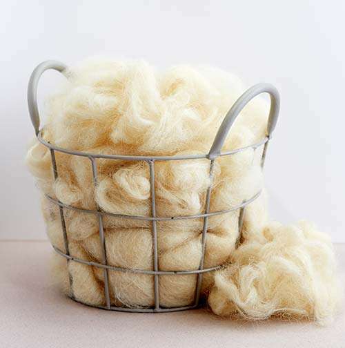Allergic-to-wool-fibers