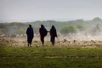 Massai with sheep in Kenia
