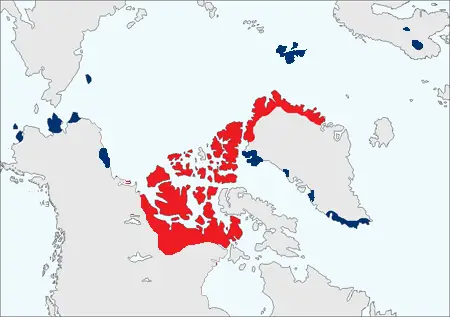 Muskox - Distribution Area Map