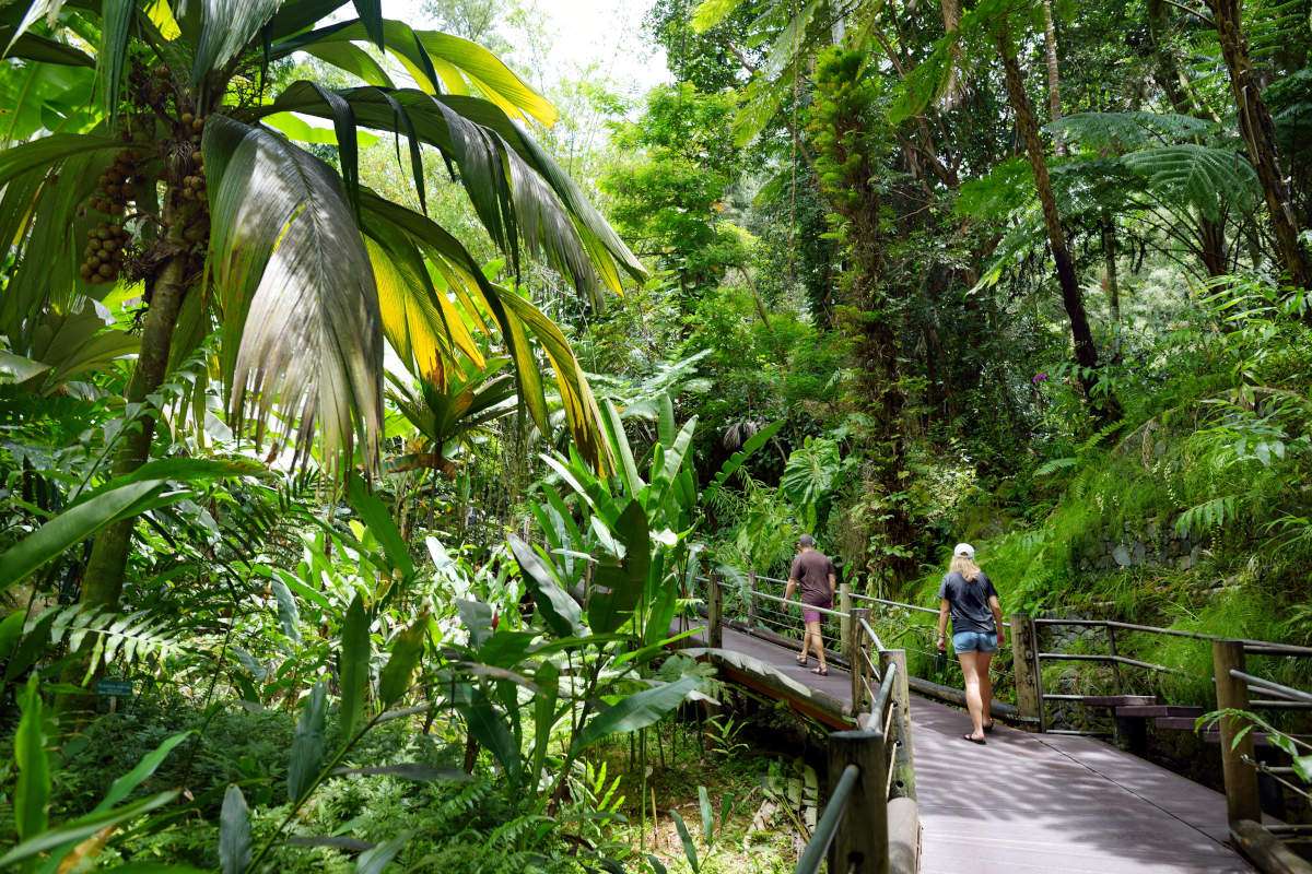 Hawaii Tropical Botanical Garden Trail