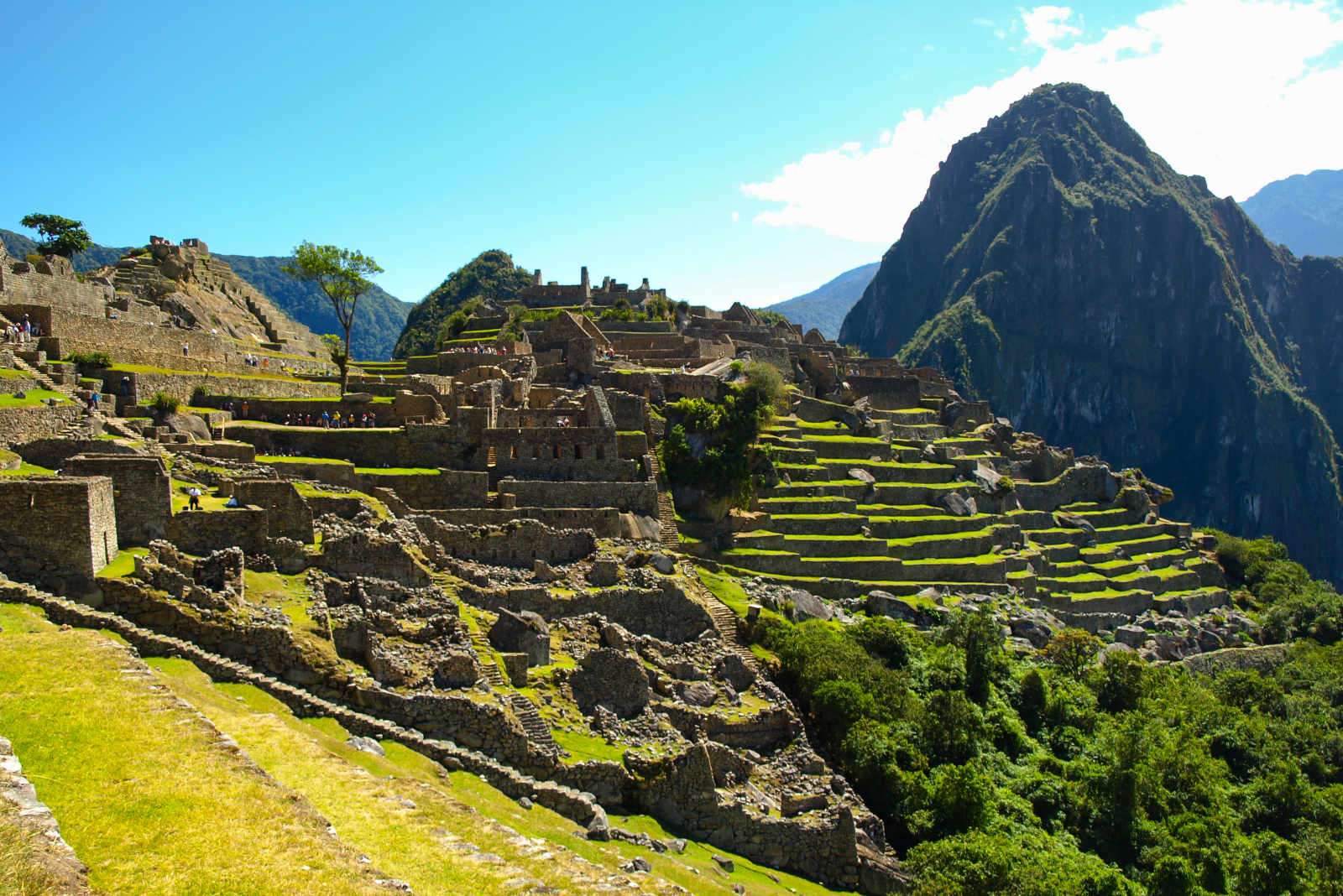 Agricultural Terraces of Machu Picchu