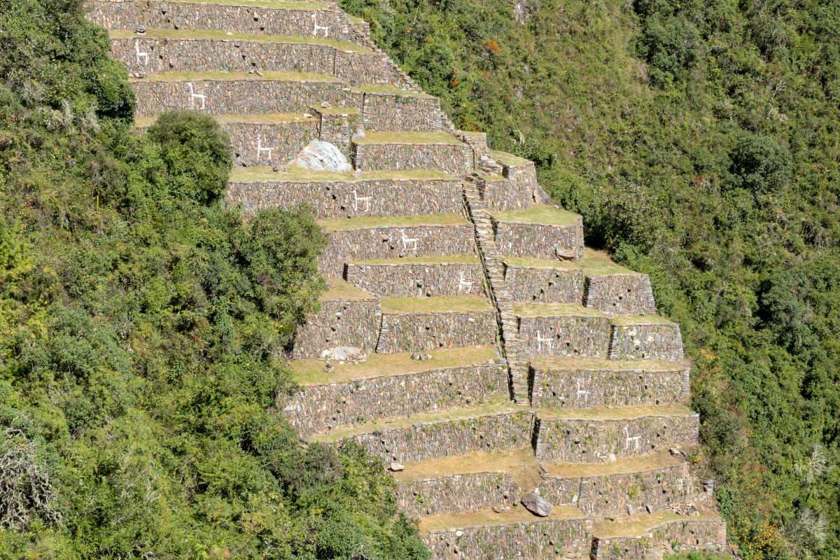 The famous llama terraces with white stone llamas in Choquequirao