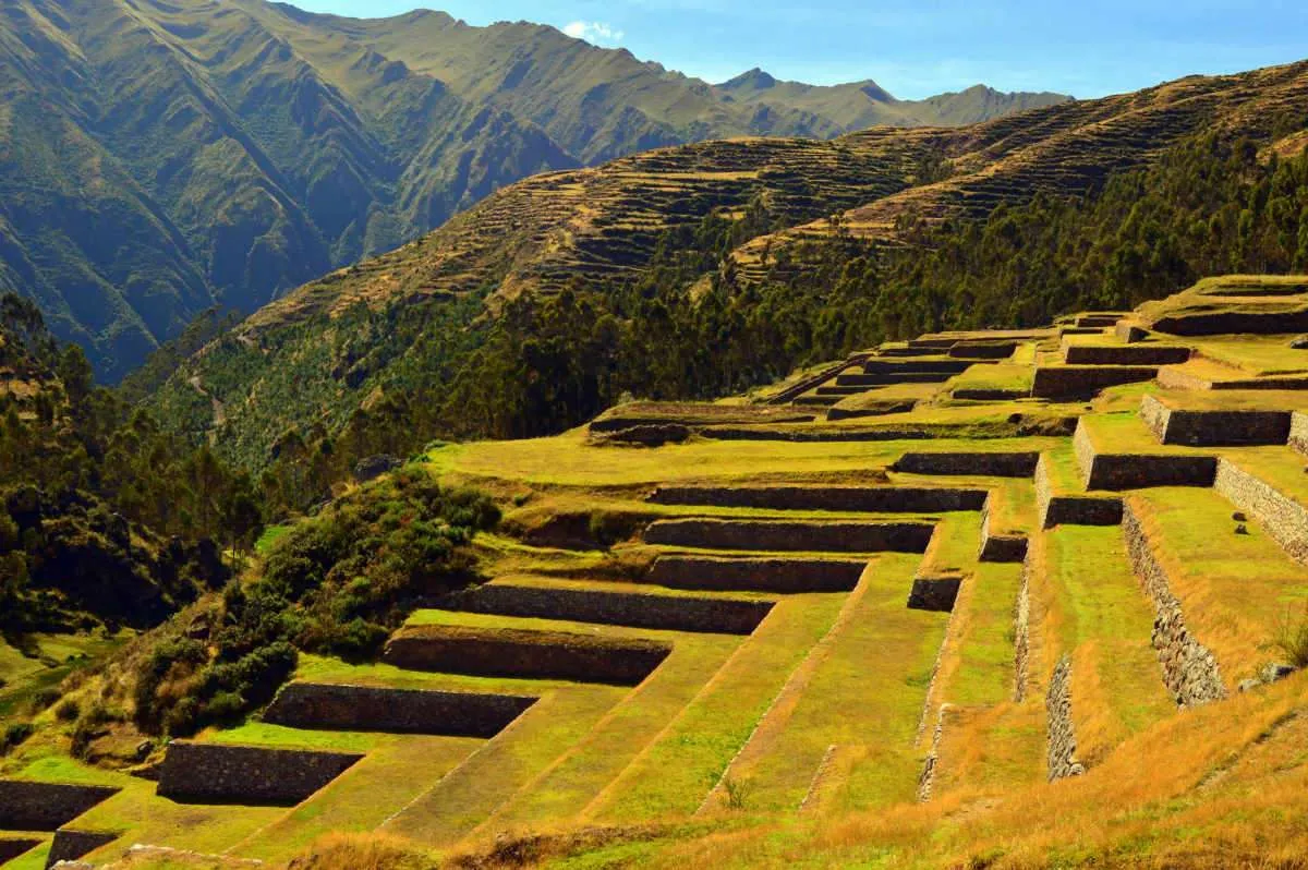 agricultural terraces in the Andes
