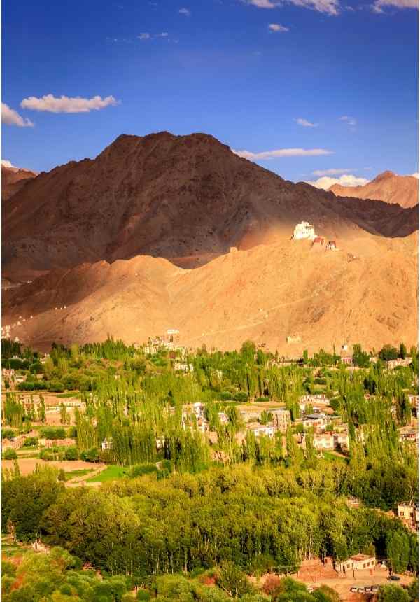 Leh - Capital of Ladakh