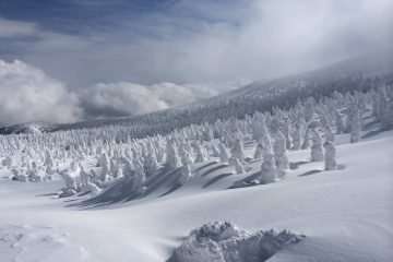 蔵王山の雪モンスター