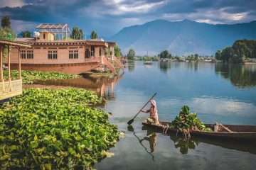 श्रीनगर - डेल झील
