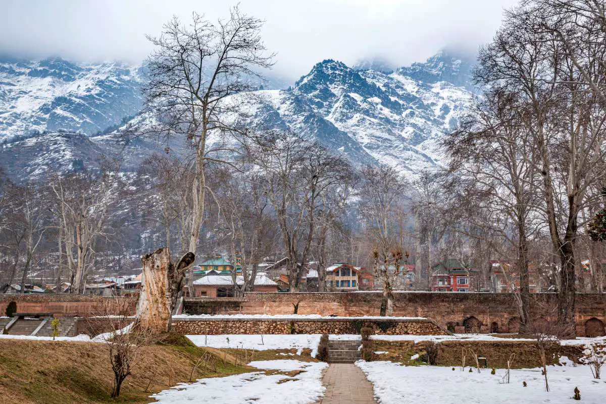 The landscape of Nishat Bagh Mughal Garden during winter season