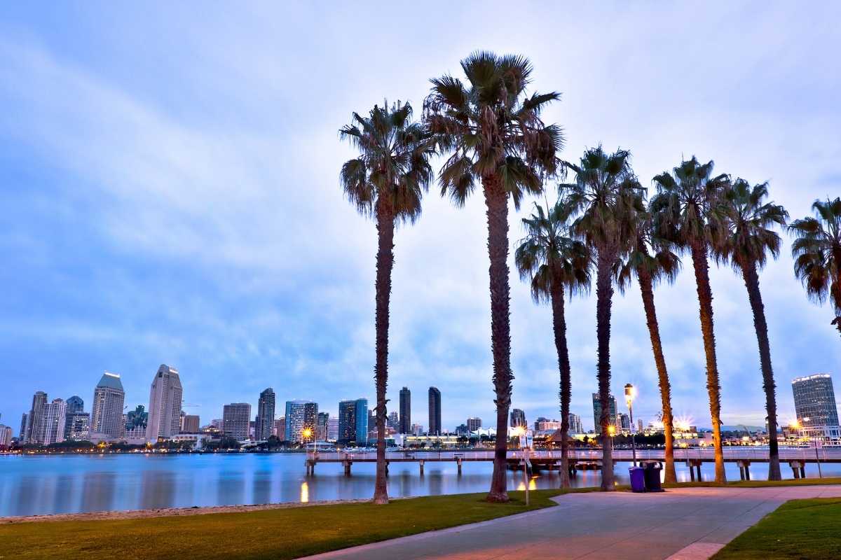 Downtown San Diego, California and Palm Trees