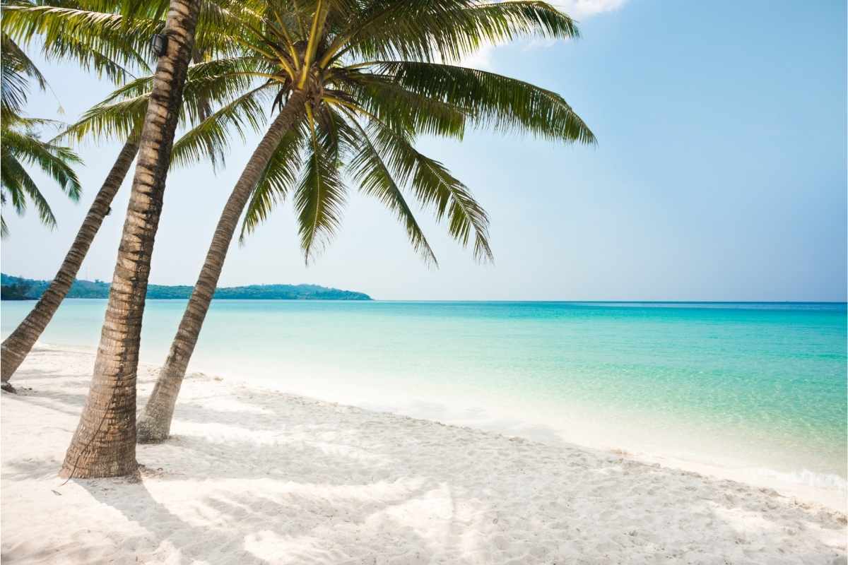 Dream Beach - U.S. Virgin Islands