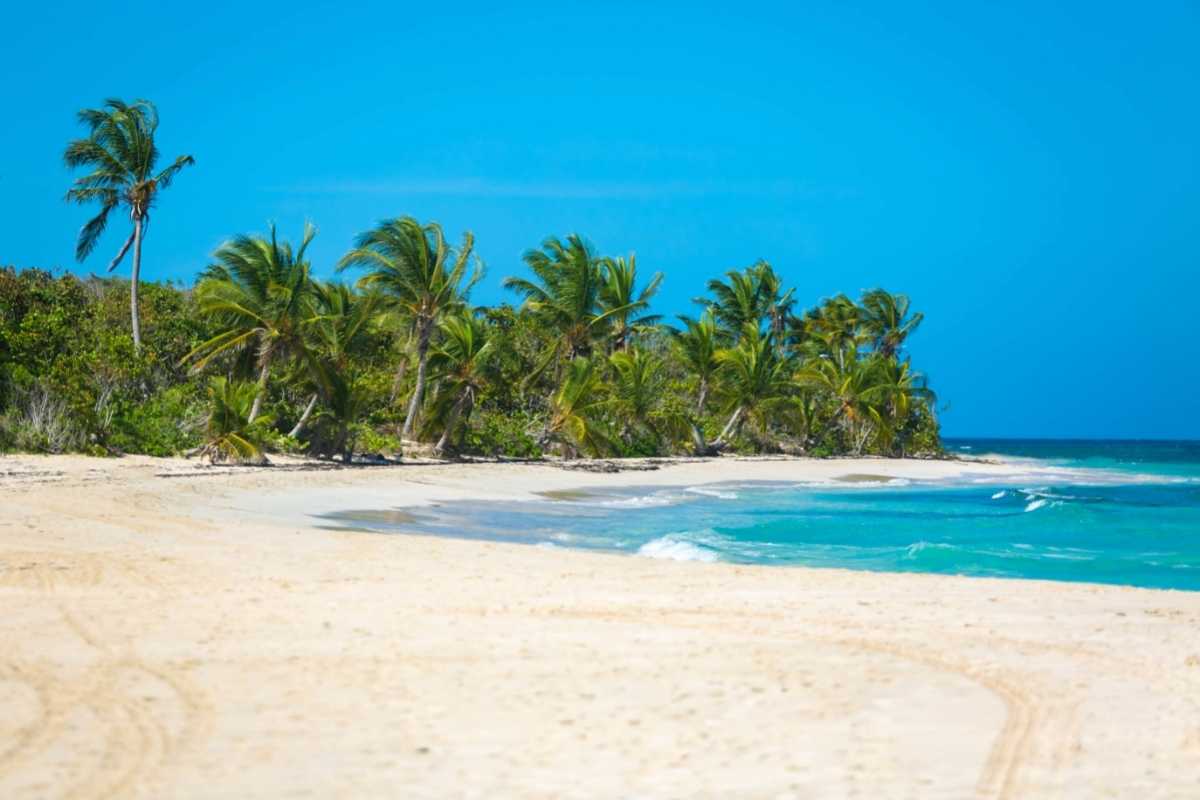 Exotic Carribean Shore of Puerto Rico Flamenco Beach