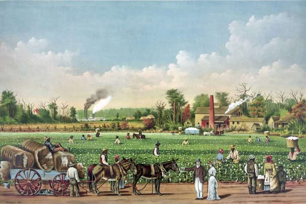 Idealized view of cotton plantation on the Mississippi River,
