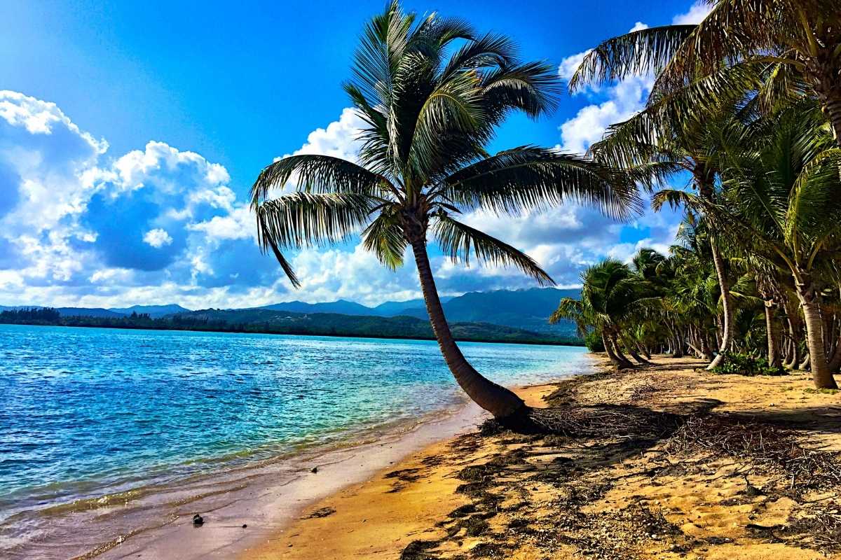 Sunny Beach - Puerto Rico