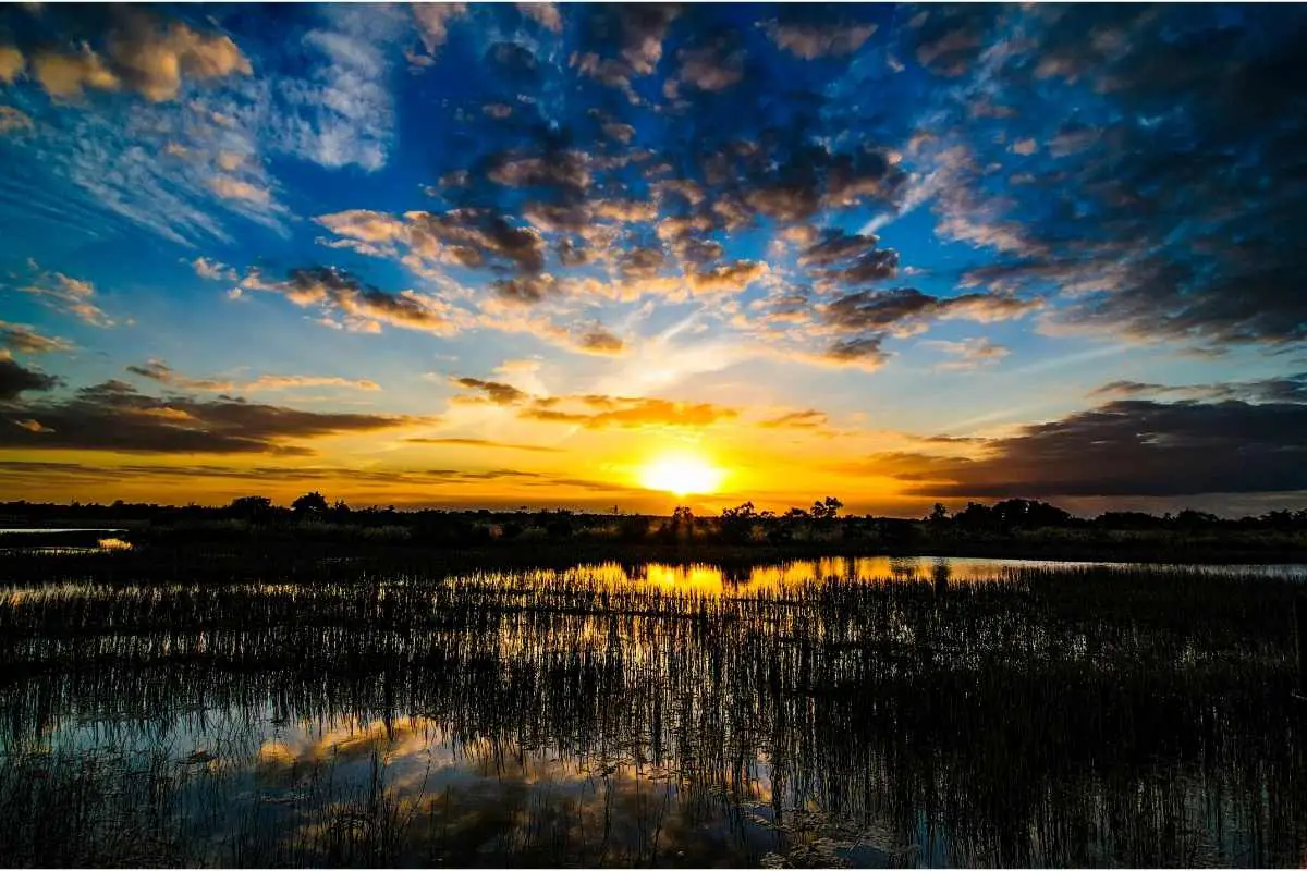 Sunset Everglades National Park
