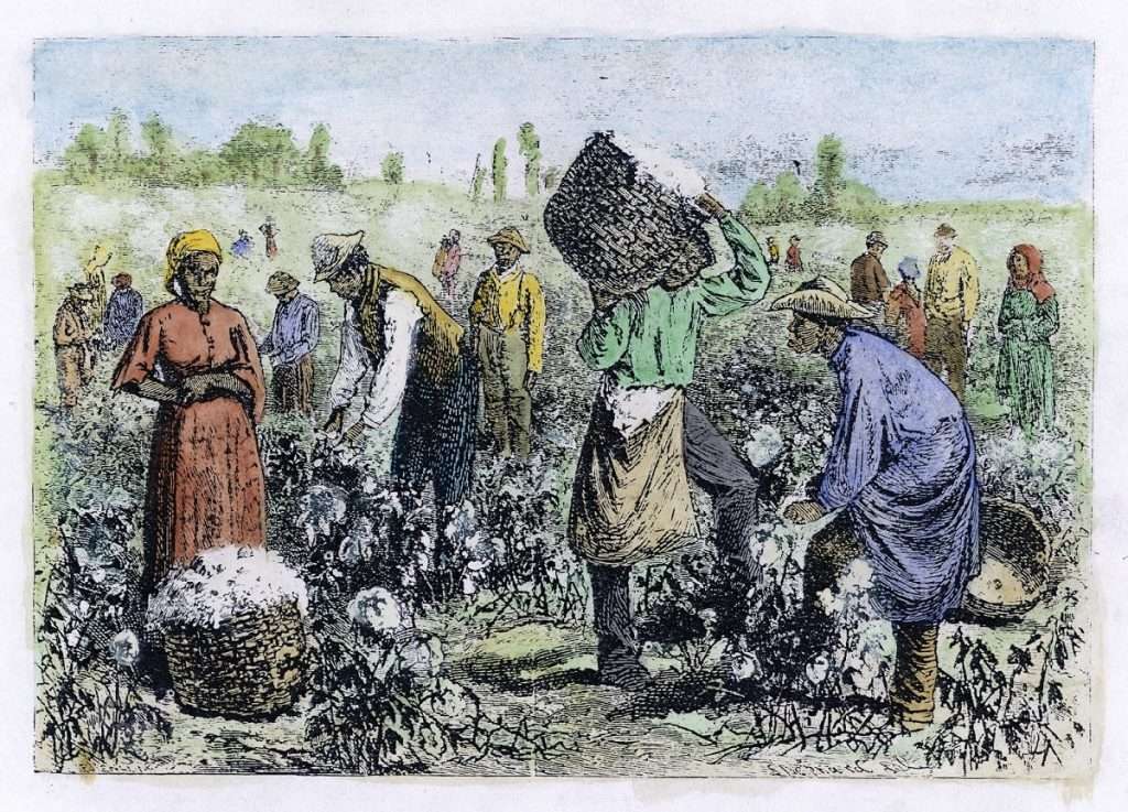 Slaves on Cotton Field