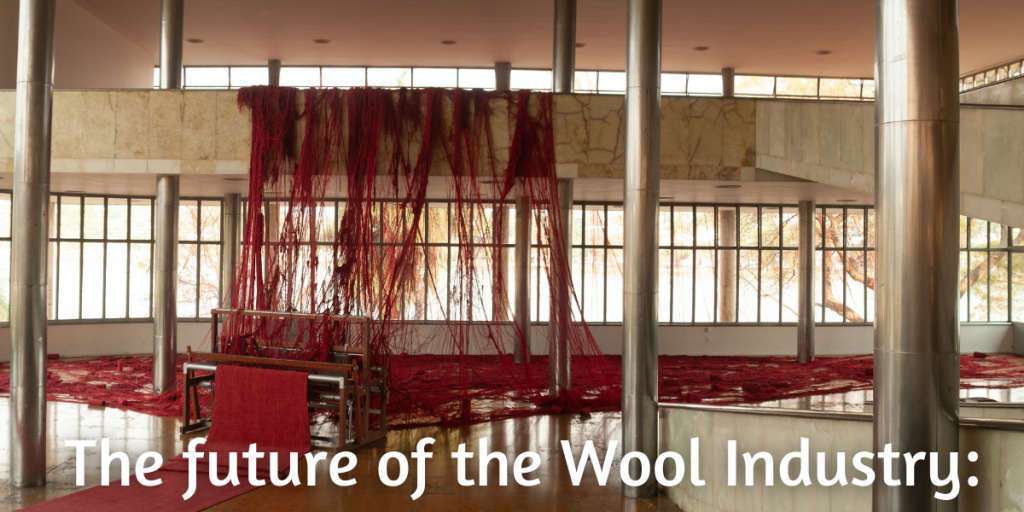 Future of the Wool Industry