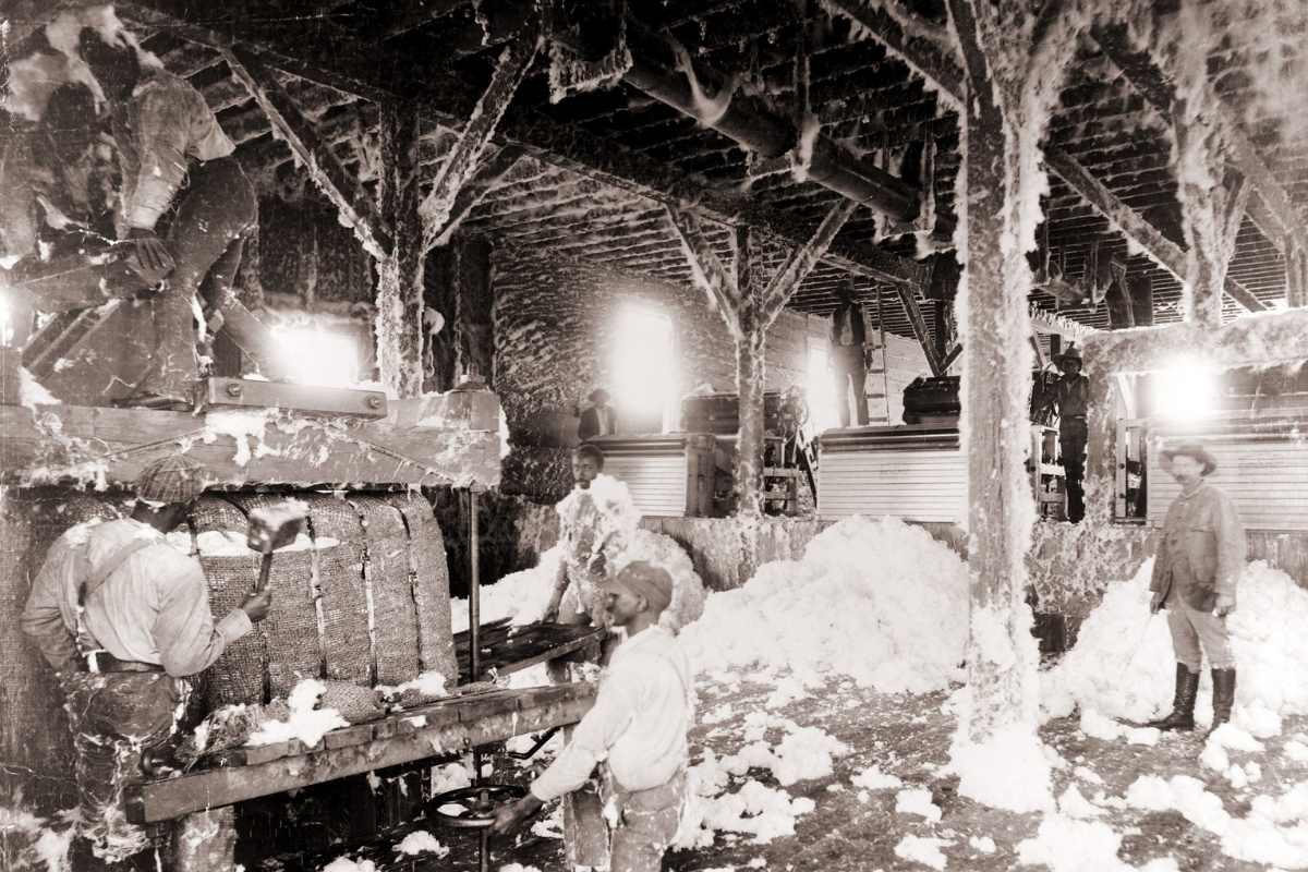 African American men working in a cotton gin at Dahomey, Mississippi, in 1898