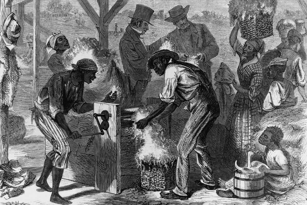 African American slaves using a cotton gin. Working by hand