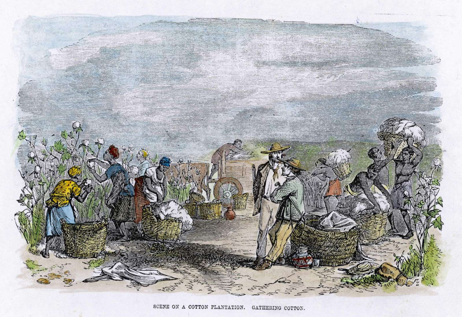 Cotton Plantation - Date 1860