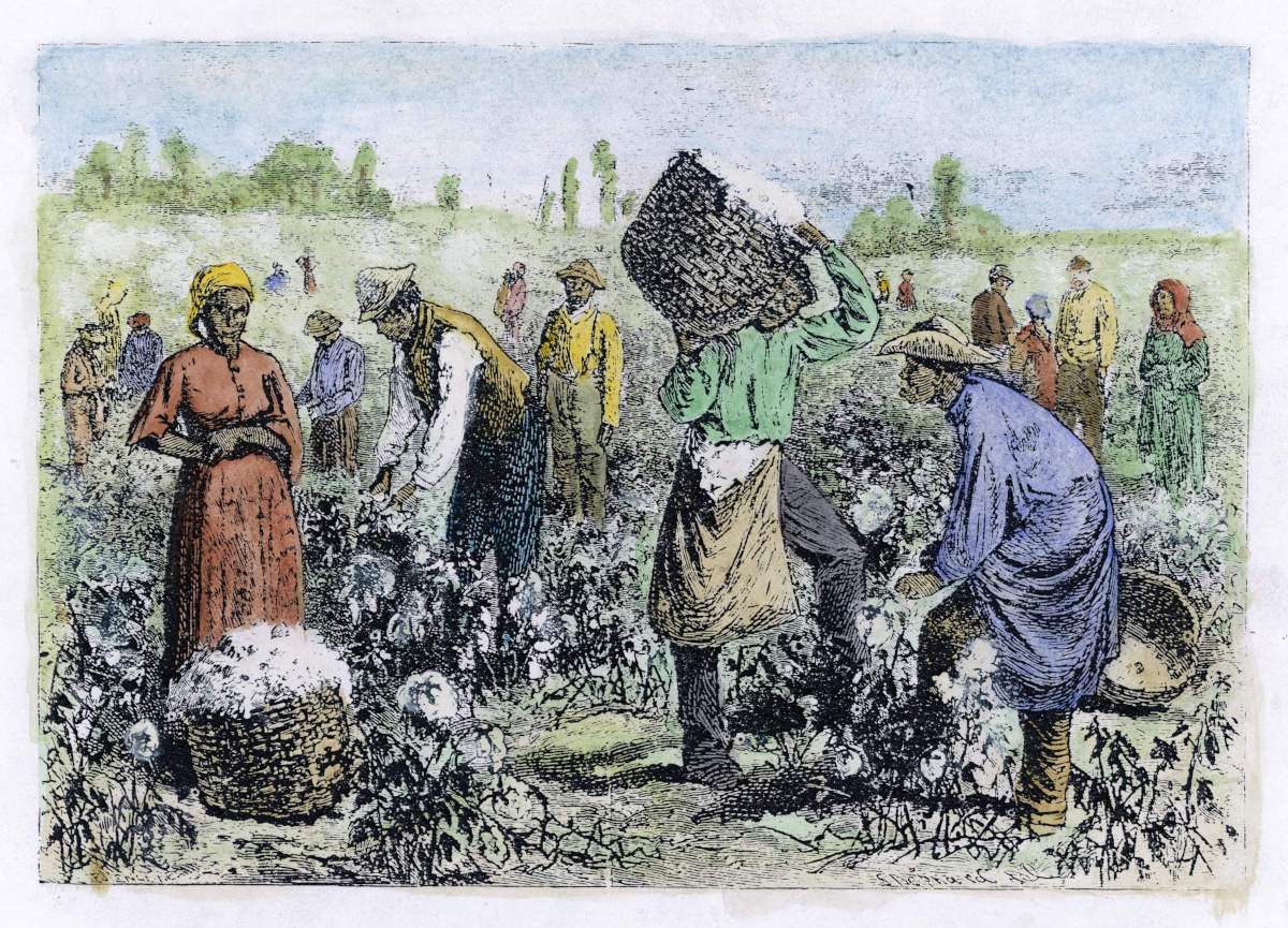 Cotton Picking. Date: 1874