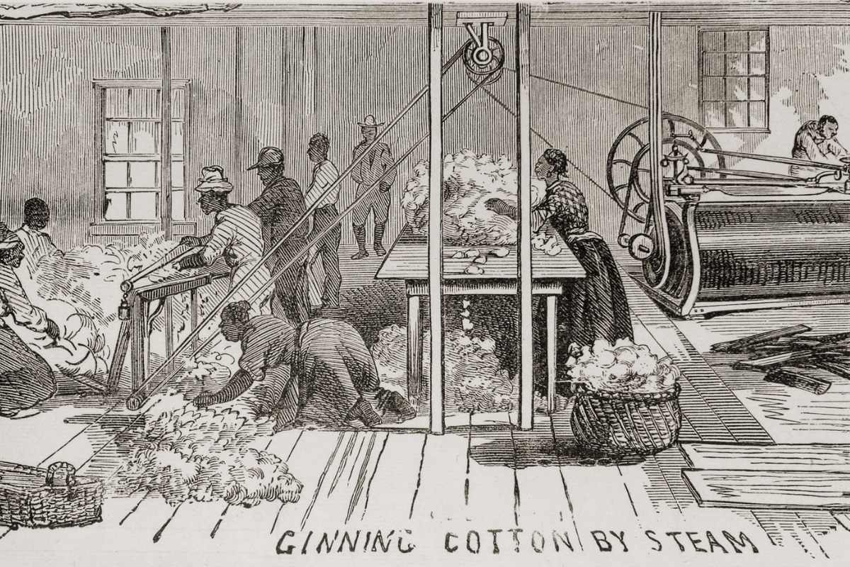 Ginning cotton by steam powered gin in 1861