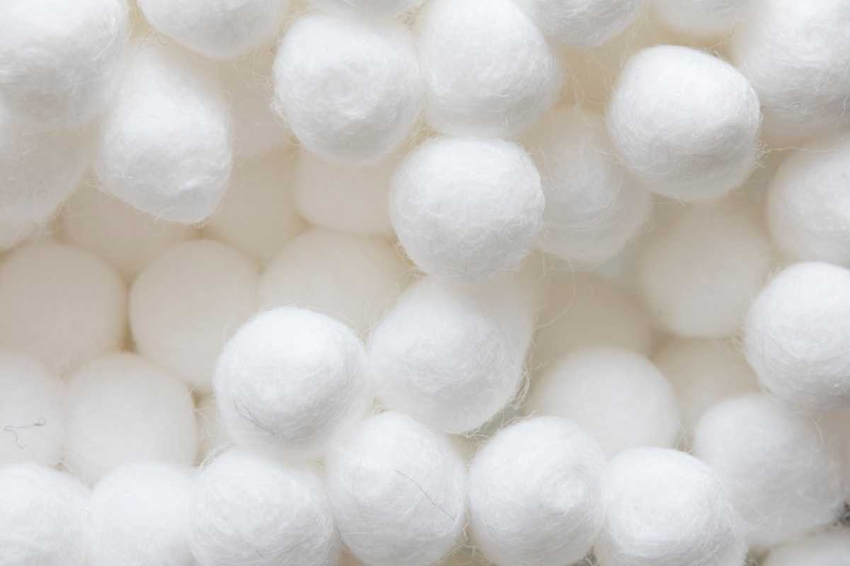 White Cotton in Close Up