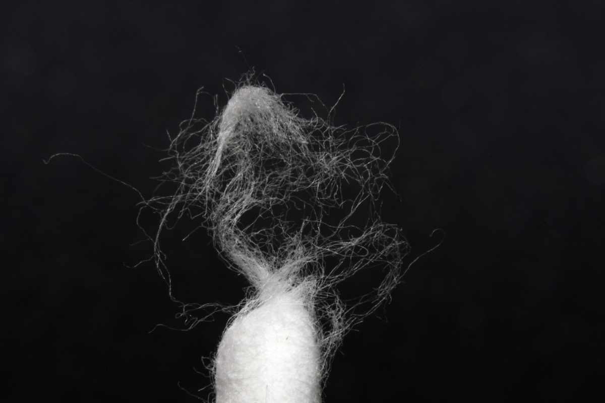 white cotton wool fibers on black background