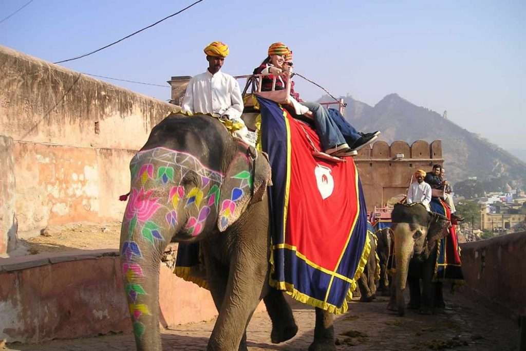 Elephant Tour India