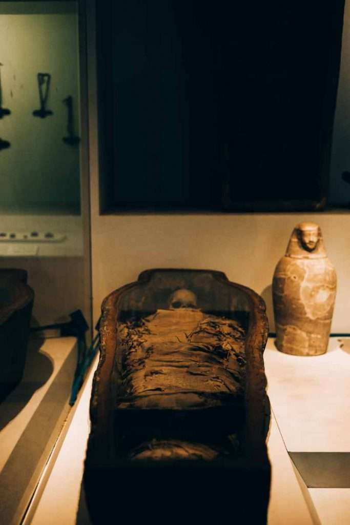Egyptian-Mummy-wrapped-in-Linen-Exhibited-in-Museum