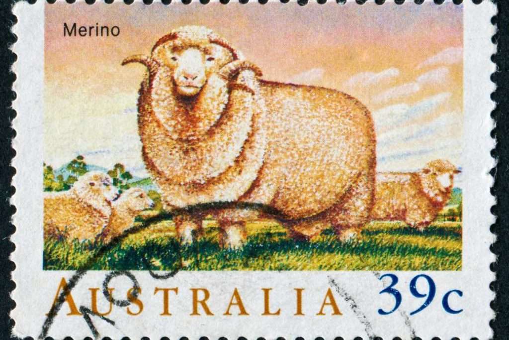 Merino Sheep Stamp Australia