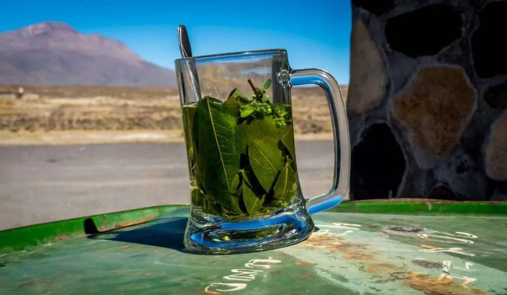 Mate de Coca - Traditionam Peruvian Tea